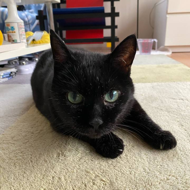 4a03fb4a 15ab 4e37 85c4 4e1644dc8c3a 1629706377163