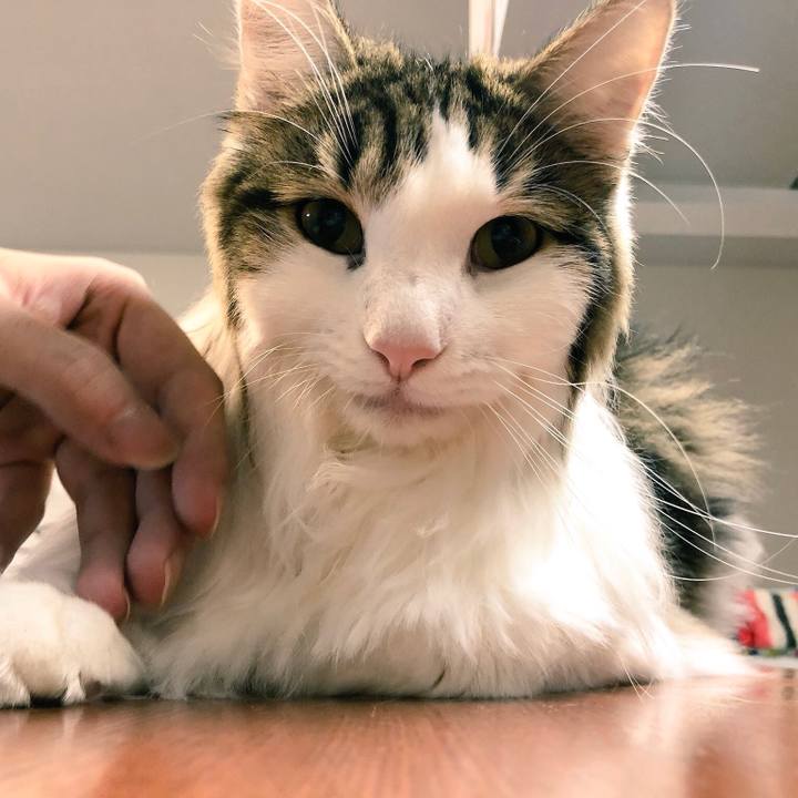 4a0411c0 1165 4337 9208 a338ce4a5d9b 1540366380362