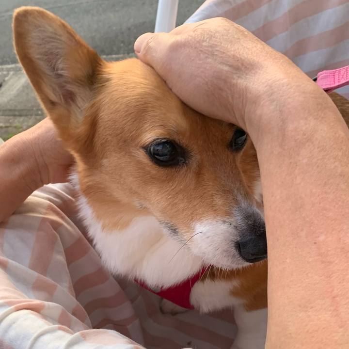 4a0428e4 4c16 49bd be05 600a7ad4969e 1713000373155