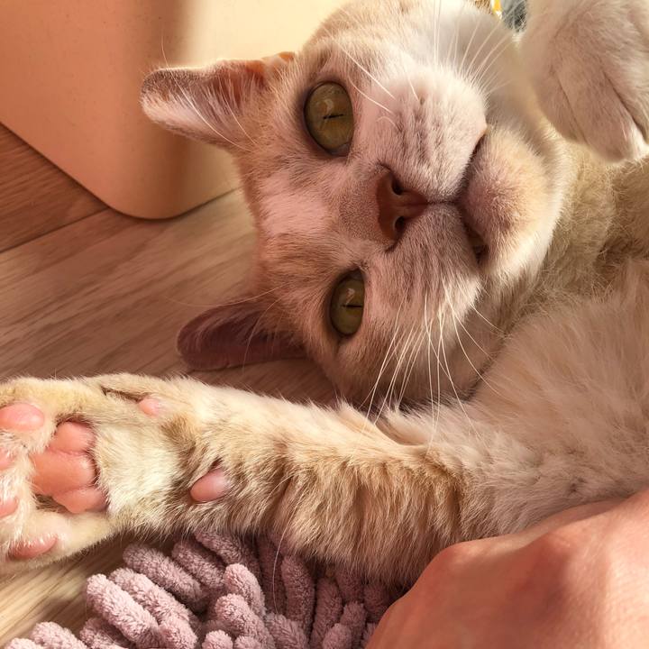 4a042904 e042 4ff8 8e36 8cbd2142ee89 1584315676869