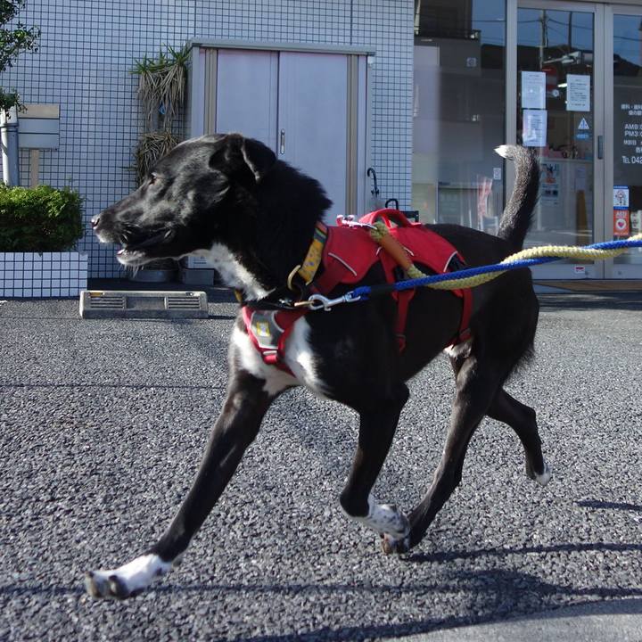 4a0455df bf11 4793 88e3 7e3bfe35a5db 1585788563829