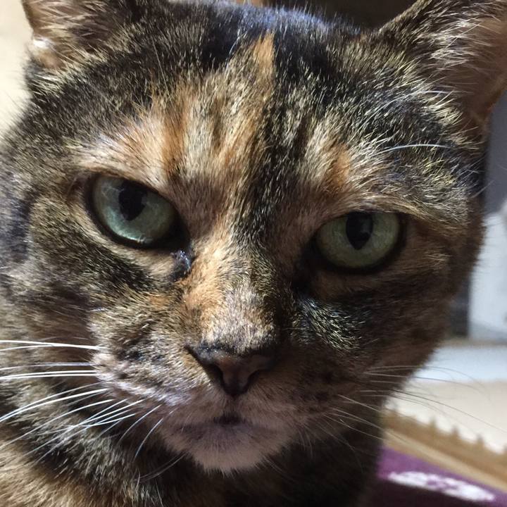 4a0461b7 e913 4a77 8cd7 4c9bafae028a 1537062823756