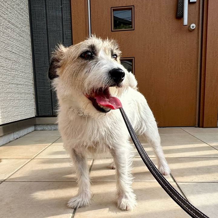 4a048536 969f 4d6a a6e4 850b7b7d620a 1751092293350