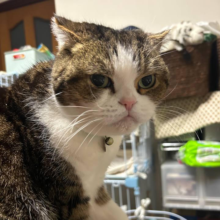 4a04b084 5eb9 4ef4 b27a af1457630a98 1774123835209