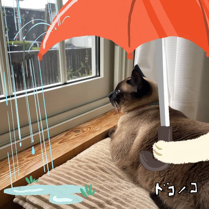 4a04b726 063e 448e b38f 1bed75eef2f7 1749329031097