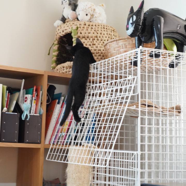 4a04eae6 cf83 41d9 a896 56b005b0e085 1569800278085