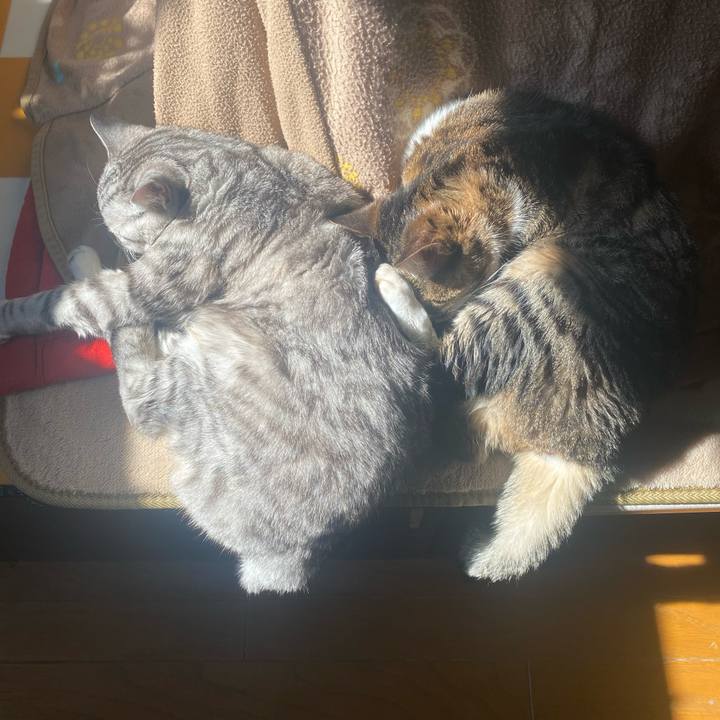 4a04f114 7086 4fe6 b766 484f274d1d27 1738985253440