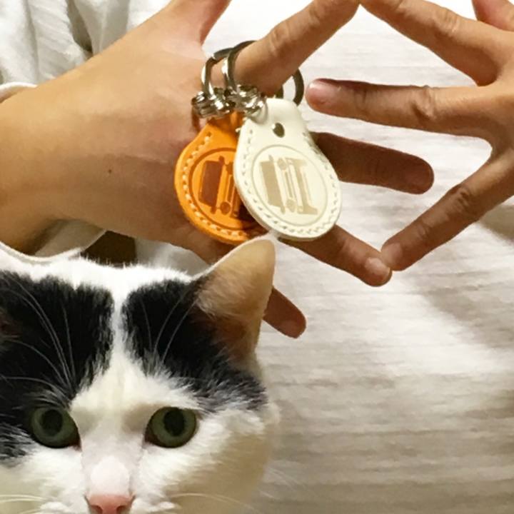 4a04f8ed 1978 40d9 b7b9 595e890a7588 1510229865628