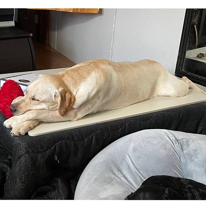 4a050767 c92f 430d 9c45 932989657af0 1642545155396