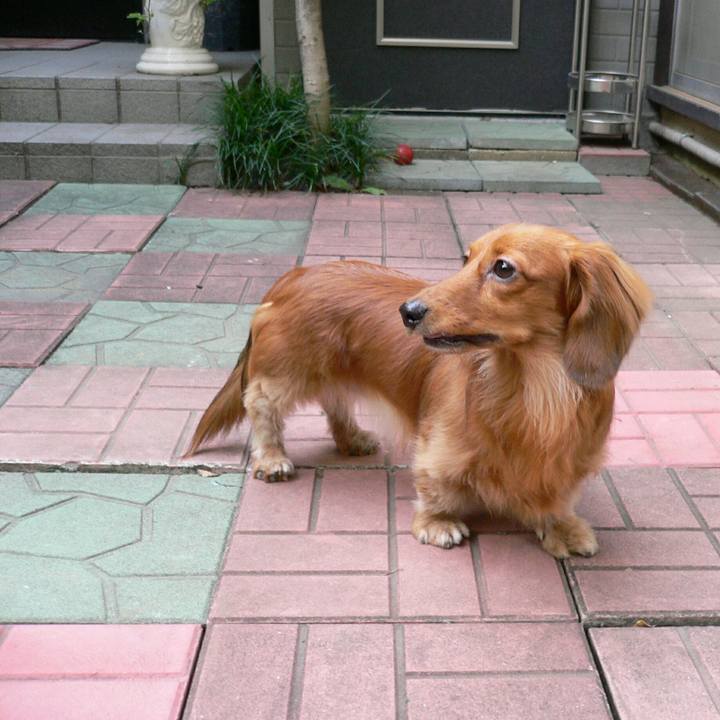 4a051b26 581e 443a 8072 a1e36f791449 1527439476652