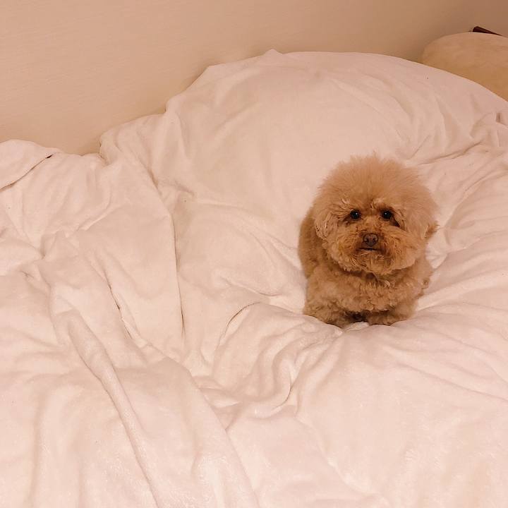 4a057873 9a58 4e94 84cf 5109992917c9 1552133060584