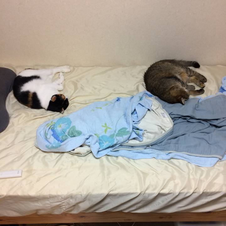 4a05798c fbfa 4ed6 aab6 761c5fa63c84 1592664018729