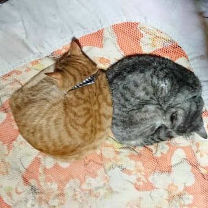 4a05895f 473b 45d3 be56 1ce00caee63a 1571316608094