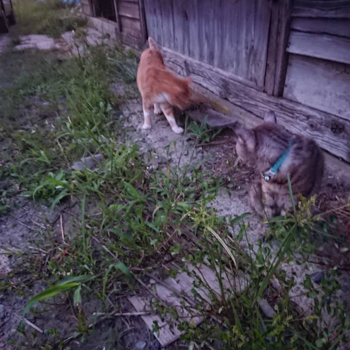 4a05916e 59e4 4b82 9f3c 29ca12a189f5 1566812735268