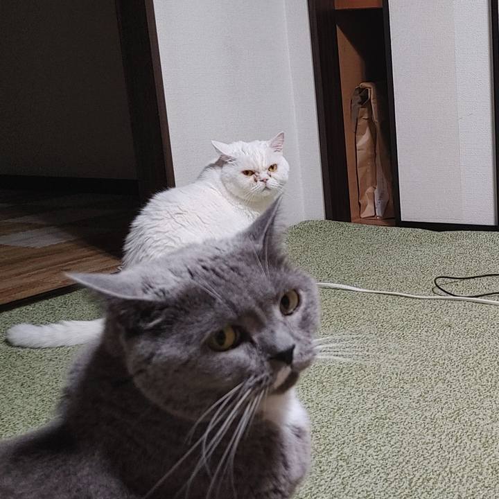 4a059fd1 8075 401a bd58 4109d4e48843 1719150559092