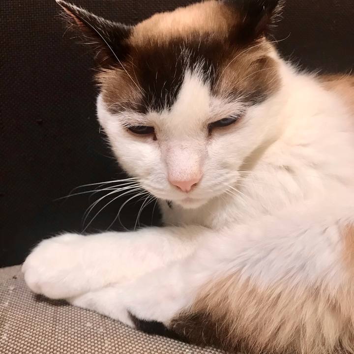 4a05a576 b26c 4c2c 9674 7a4f35765da5 1620562397333