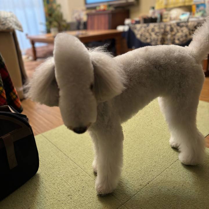 4a05e405 2840 4f05 8db5 2d844ca04364 1704616353565