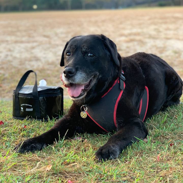 4a05e813 08a1 4fec bff7 fcde63516206 1633821710691