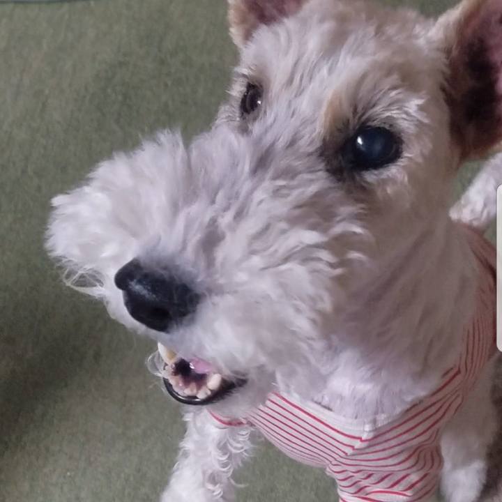 4a061e2b 365c 4433 94e1 86faab2d3cdc 1528900960592