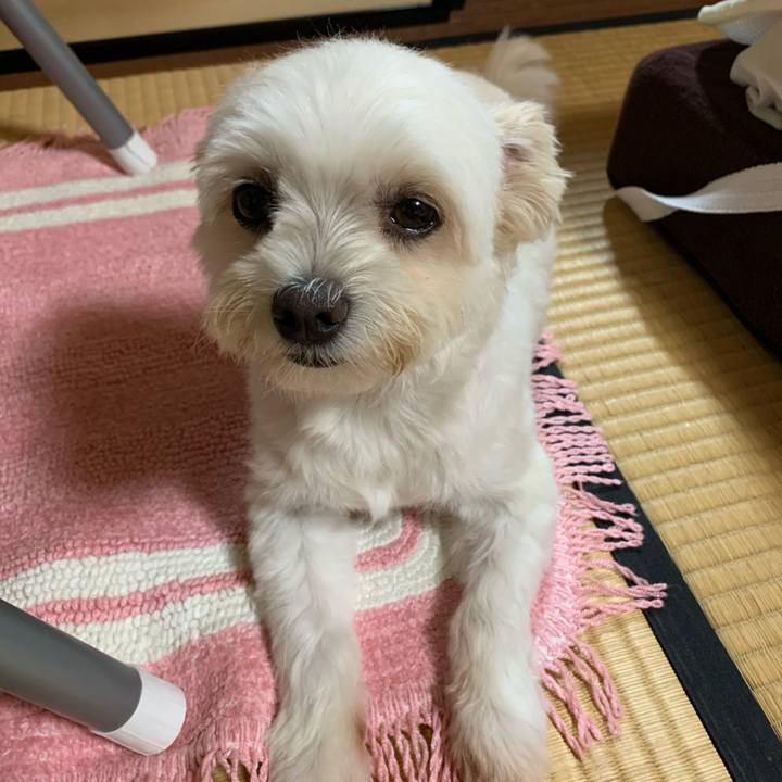 4a0653a4 f998 4531 9078 292972185e95 1597059010123