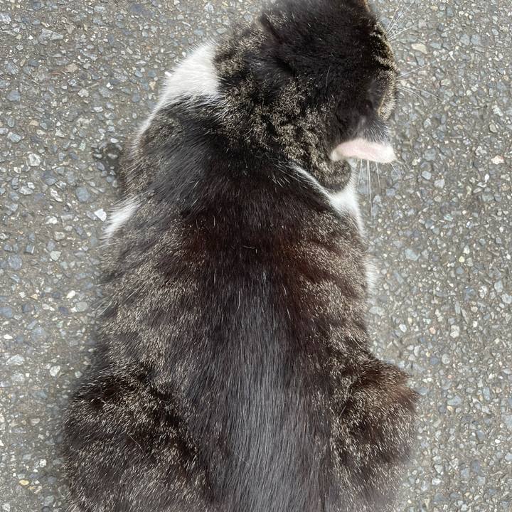 4a065e6f 967f 4a4a 8053 1deceb6612d0 1625717017887