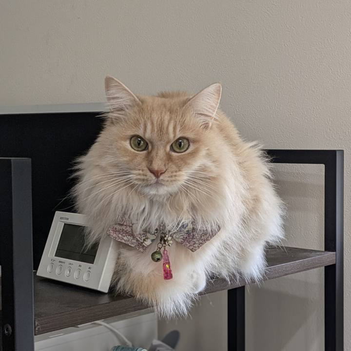 4a067217 66ec 437a 94f9 bbef3e78eb85 1772158225657