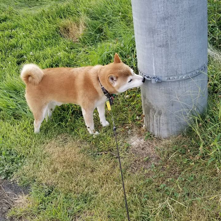 4a06ebae 87fd 42fe 90ac 332f6f0bc982 1598171746477