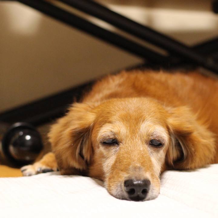 4a06f89e 8784 44e0 96d3 4e37c6f0c83e 1629655326710