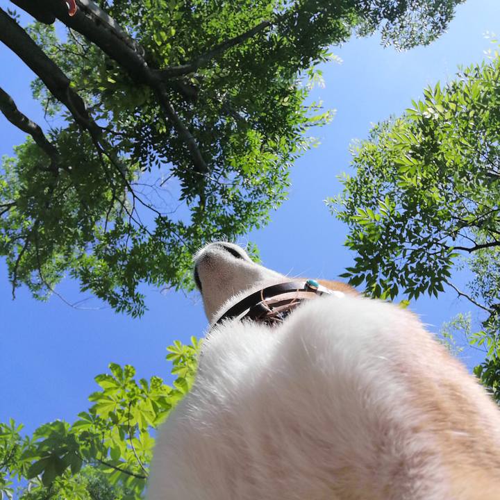 4a06fe03 8d1c 40e3 9a8f ed8b89c7b9bb 1592355725939