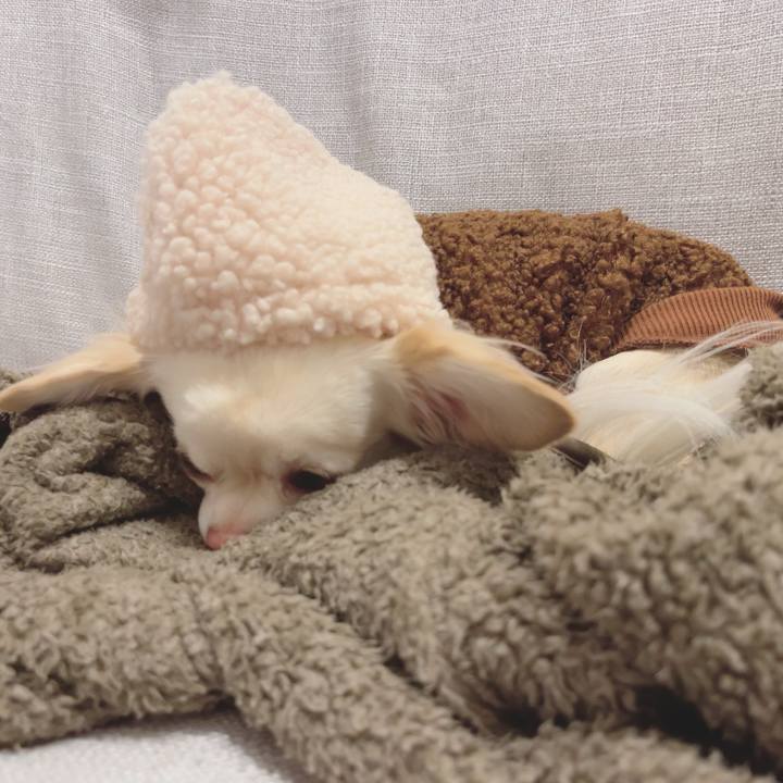 4a074d20 9461 49ba b9b7 955a351c74e4 1702213969683