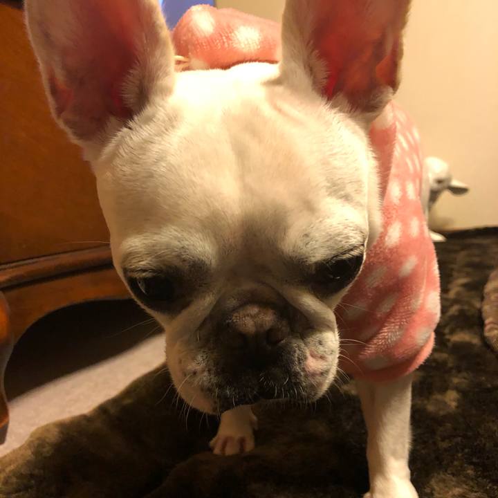 4a07583e 5026 456e 9e01 923b78f3a70d 1574950934425