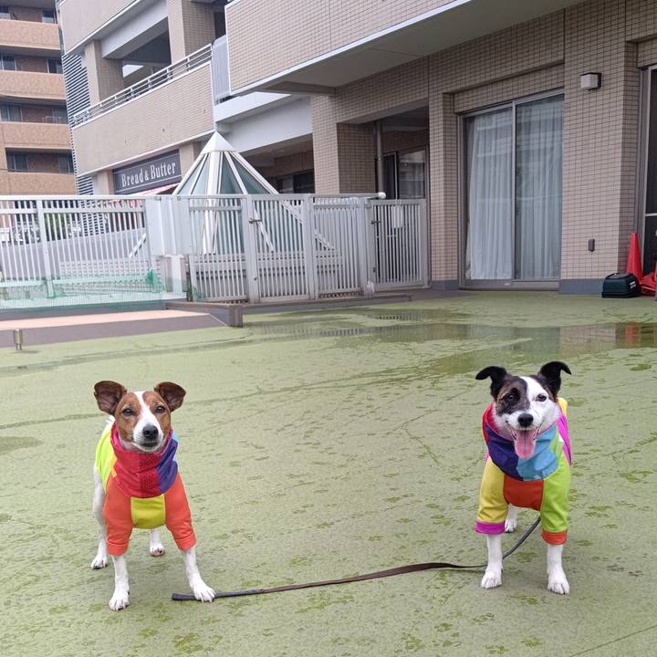 4a07a082 7e3d 4e8a 86bd 2e1d190cec61 1685360278871