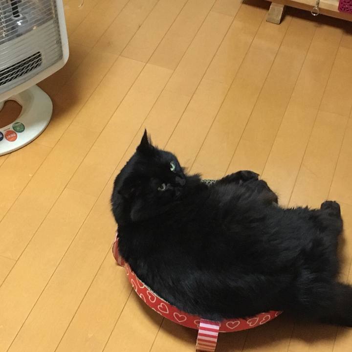 4a07a185 d12d 45bc 89d7 d08ba8ff5b17 1573210099287