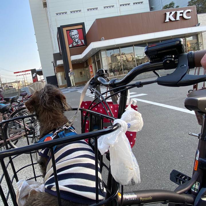 4a07bb6c ae71 48d2 963c b27bf424d603 1584782858974