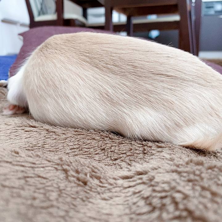 4a07d928 430d 4c49 b539 b0494c166f3d 1593575118943