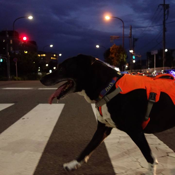 4a07e7c3 40b7 47d3 9234 3352bfcae74b 1722336675301