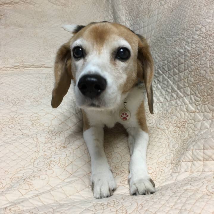 4a081046 5162 4534 9393 addaaa589a68 1773821904973