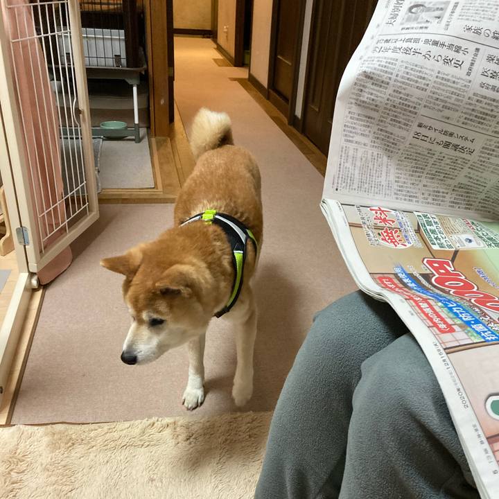 4a084750 6784 4deb 92e2 68ad2c9fd3a8 1625274042401