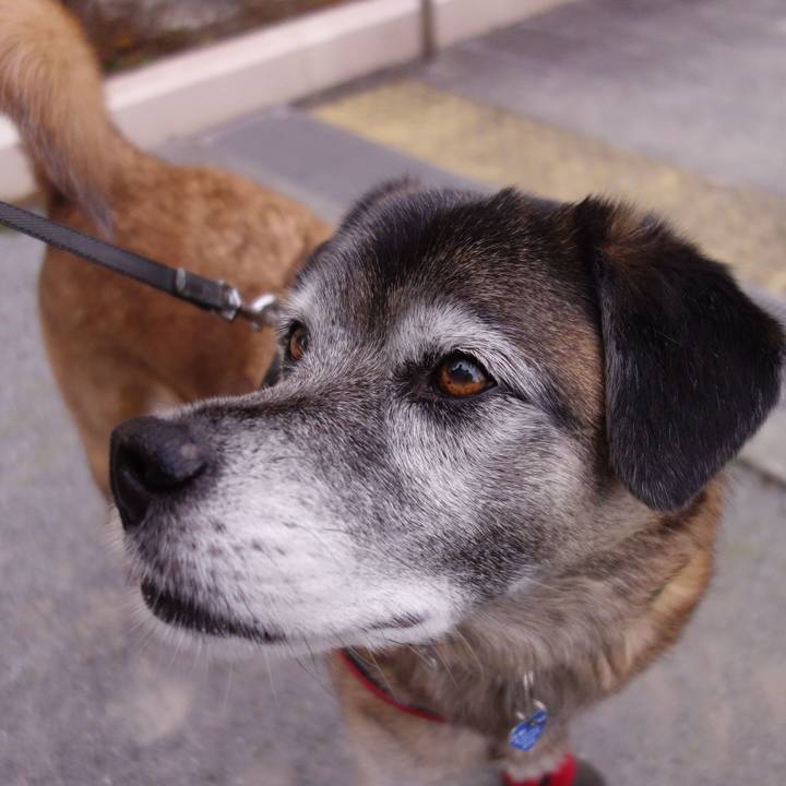 4a08a8ad ca08 4a57 af4d e612ce2b8461 1547255777845