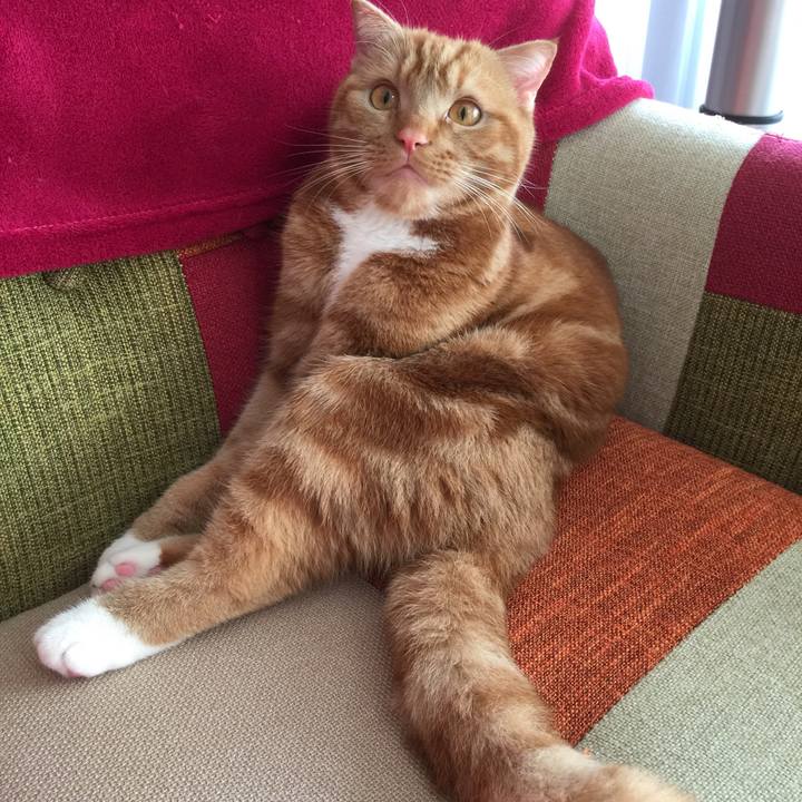 4a08b148 c6fe 48a9 ae25 9c17619e77ca 1516234208750