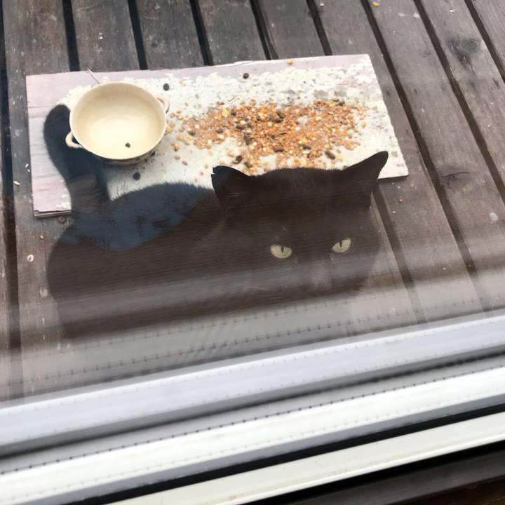 4a095877 d438 46f2 8179 dca3aca32e84 1589666816922