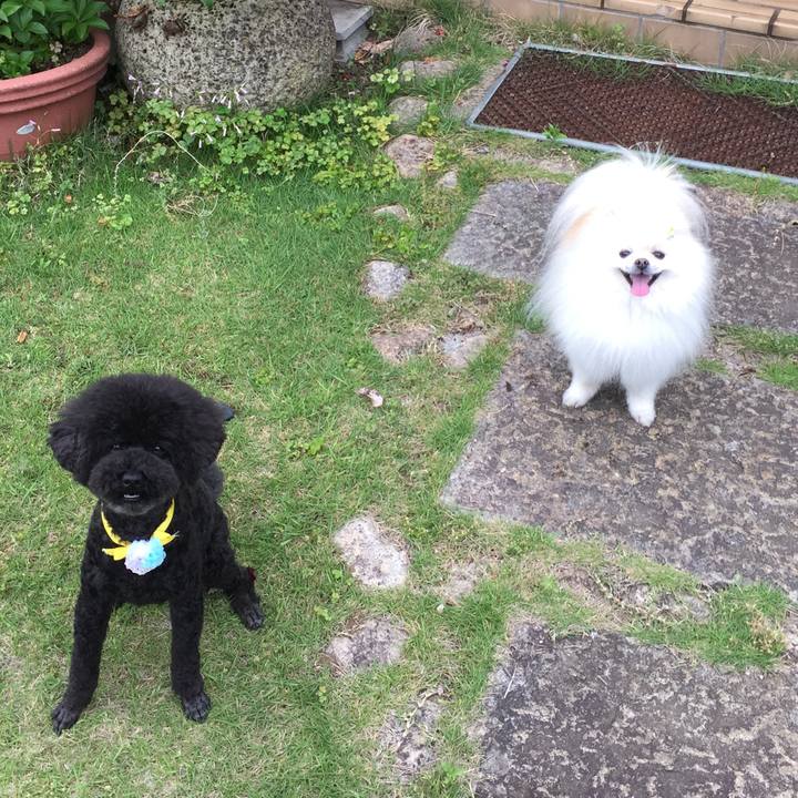 4a096340 8f78 4f87 9940 7e4062a18e59 1590898097268