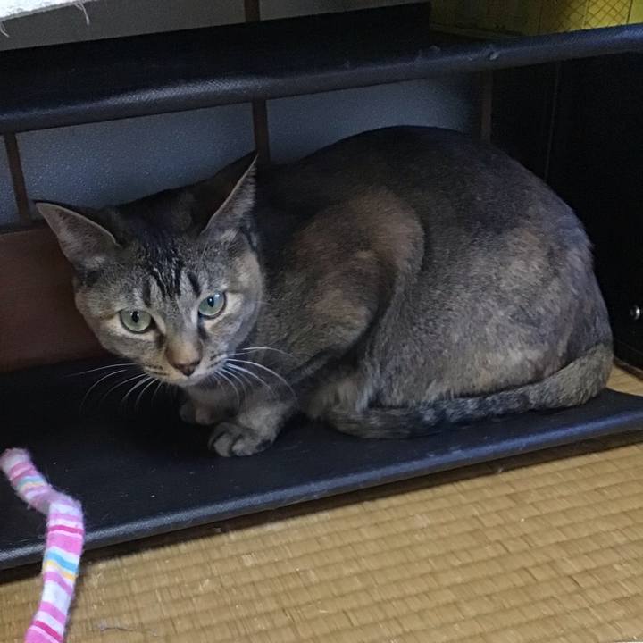 4a098d96 71f5 41d6 8173 649ebe78d1d9 1645950575821