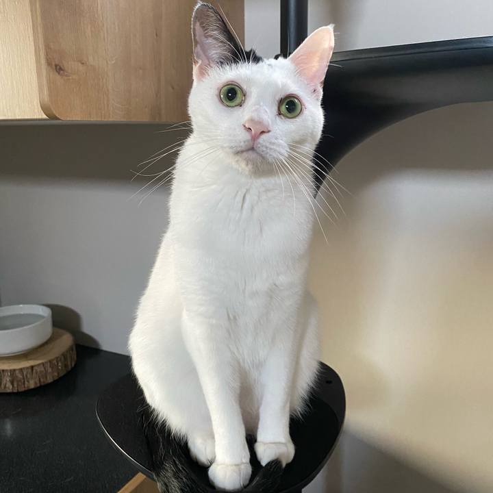 4a098fb4 1f8f 4970 98eb da2012f0bf55 1729811241186