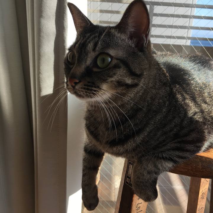 4a099019 f300 4dea bc3a 571e96d4cc2e 1548464635691