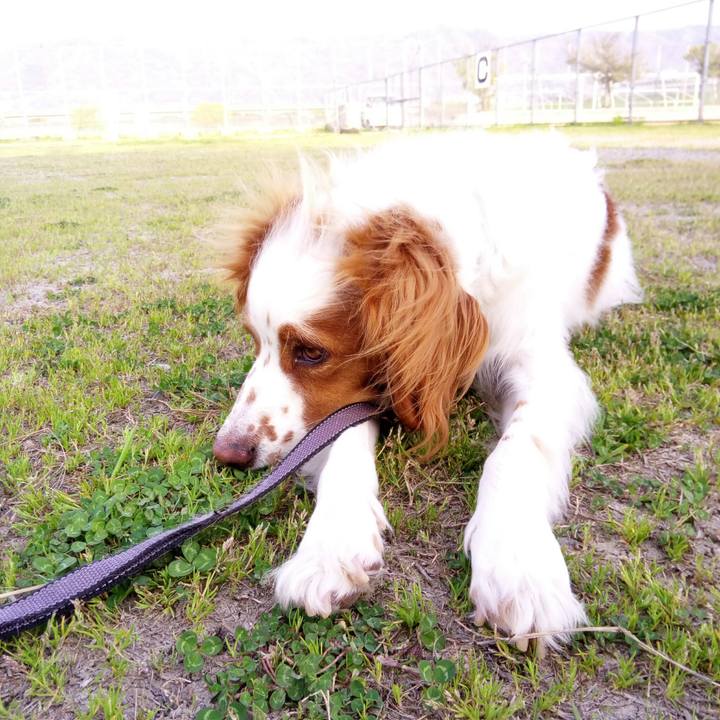 4a099fbd 2a4a 4bbd b11e f4ef65d6c1a7 1522667757812