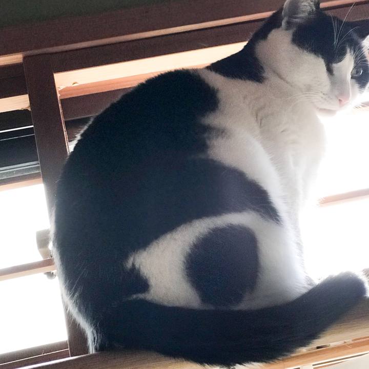 4a09b51b d3b1 4cf1 9e62 bd6593df7ac9 1517706360717