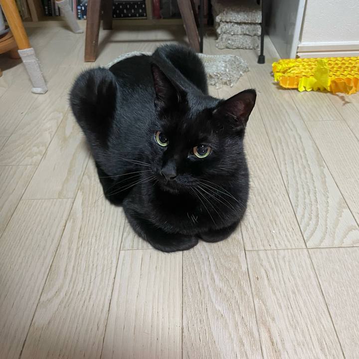 4a09b660 7abc 413c 92b8 a957bfb8ac4a 1741604790313