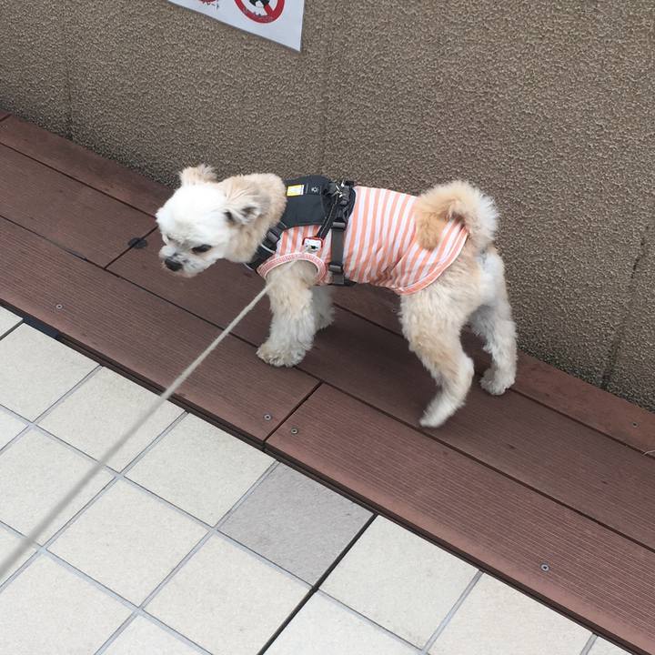 4a09d521 8b70 45d3 b091 aabd74672c8e 1565921737412