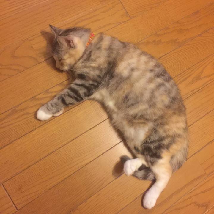 4a0a308a 4fb3 427f a737 39e4da74079f 1569236496833